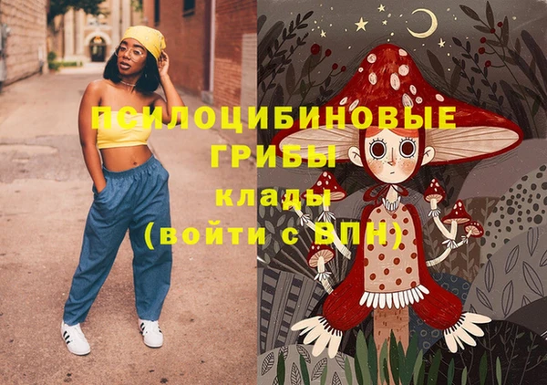 дурь Пересвет