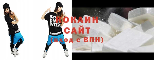 дурь Пересвет