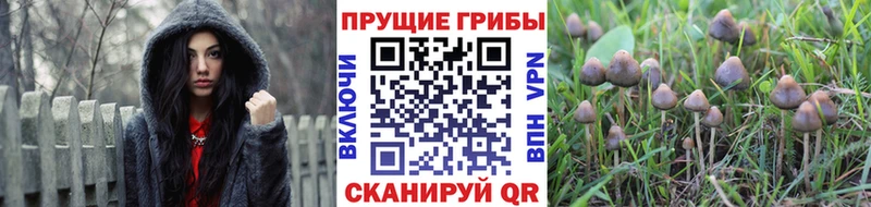Галлюциногенные грибы мухоморы Сальск