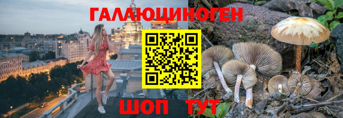 Псилоцибиновые грибы мухоморы  Псилоцибиновые грибы Psilocybe  Сальск  Вход с VPN 