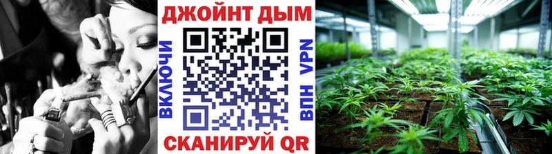 Каннабис семена  гидра рабочий сайт  Сальск 
